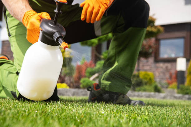 Best Affordable Pest Control Services  in Osawatomie, KS