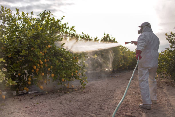 Best Pest Control for Homes  in Osawatomie, KS