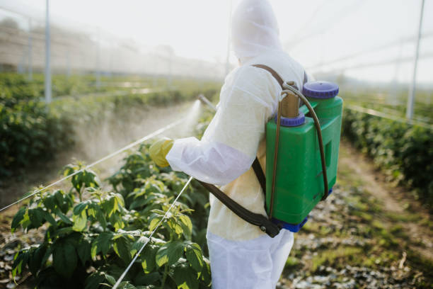Best Cockroach Control Services  in Osawatomie, KS